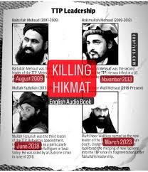 Killing Hikmat Audio Book English